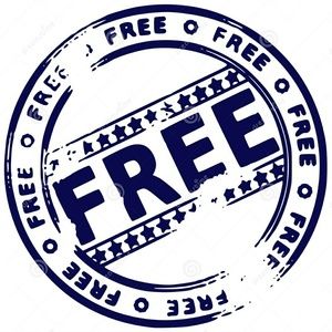 FREE closet items with purchase of Boutique/NWT